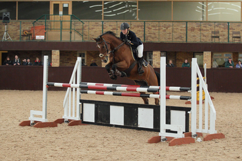 Jane Ault & Triomf L are Triumphant in Dodson & Horrell 1.10m National Amateur Second Round at Highfield Equestrian at Howe